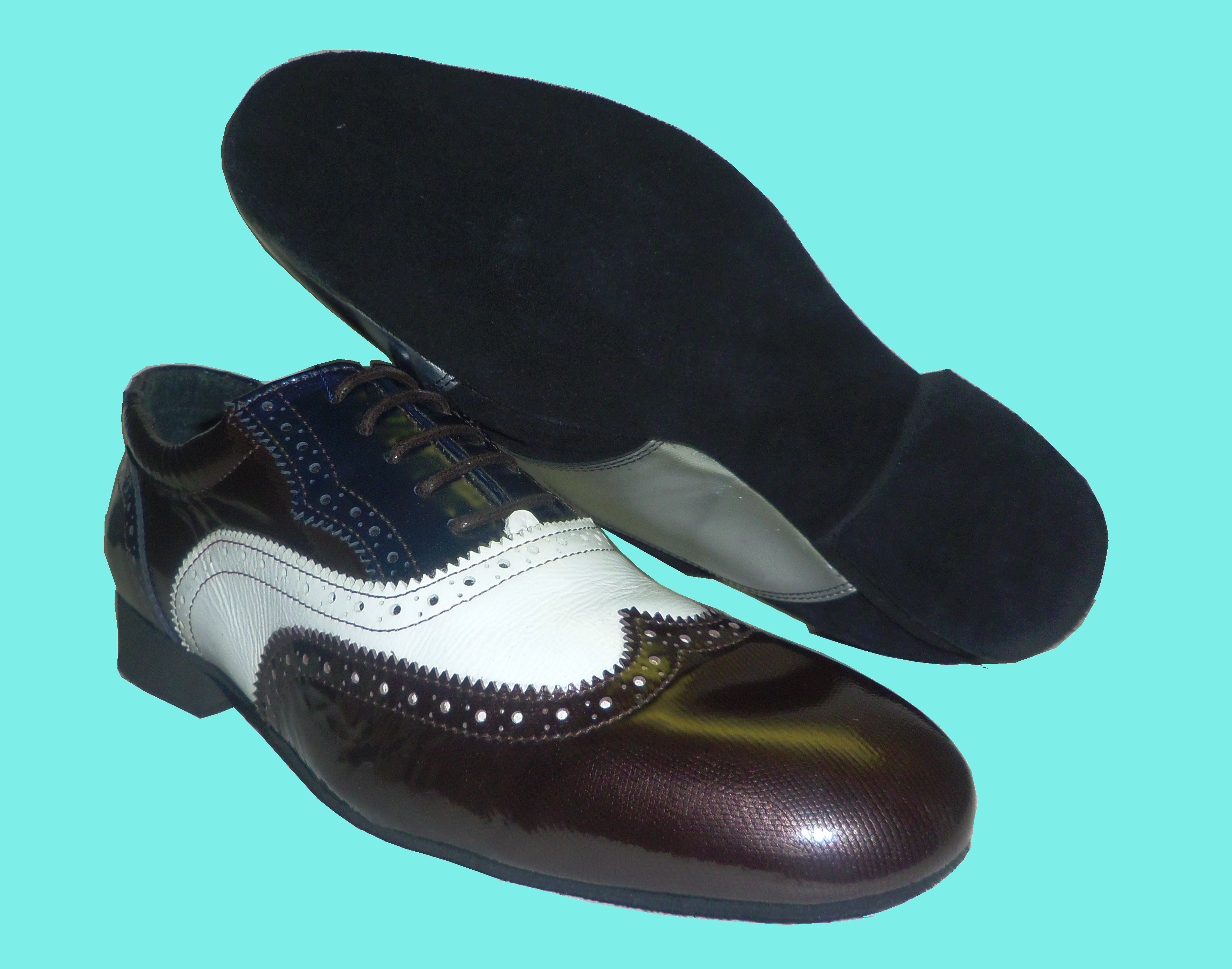 sapatos_danca_fundo_azul.png
